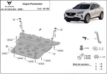 Scut auto Cupra Formentor